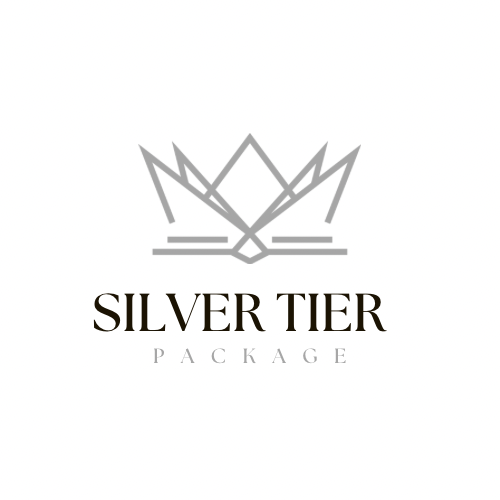 VIP Silver Tier 12 month skin plan